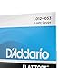 D'Addario Guitar Strings - Acoustic Guitar Strings - Flat Tops Phosphor Bronze - For 6 String Guitar - Warm, Semi-Bright Tone - EFT16 - Light, 12-53