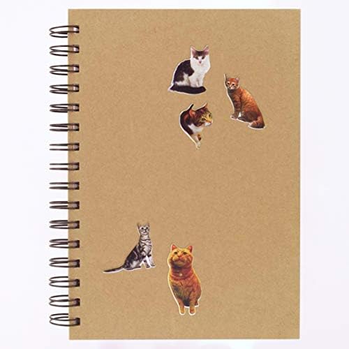 Cats and Kittens Stickers for Children, Kids, Toddlers, Adults - Scrapbook Craft Decorating Activities and Party Bag Filler Favours - Fun Cool Cute Sticker Pack for Boys Girls