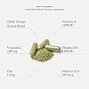 Paradise Herbs Earth's Blend Once Daily Multivitamin, No Iron, 48 Organic Superfoods, Probiotics, Antioxidants, Vitamins A, B12, C, D, K2, 30 Count