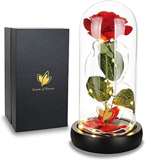 Valentines Rose Gifts for Wife Beauty and the Beast Rose Kit, Red Silk Rose and LED Light with Fallen Petals in Glass Dome on a Wooden Base Best Gift for Wedding Anniversary Birthday Valentine's Day