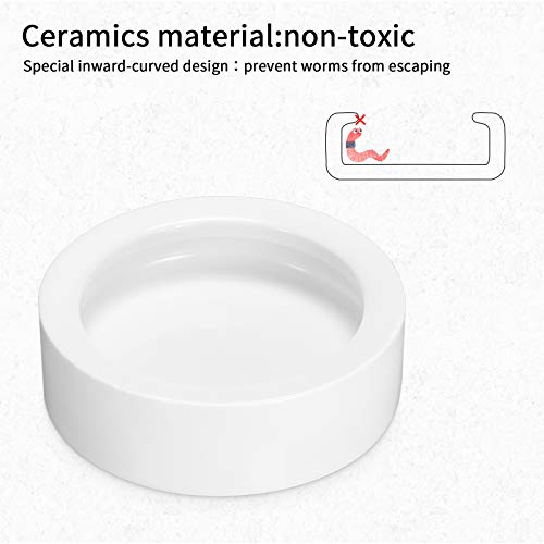 Meanplan 4 Pieces Reptile Water Food Bowl Terrarium Bowls Worm Dish Ceramic Pet Bowls Mini Reptile Food Ceramics Water Bowl Anti-Escape Mini Reptile Feeder For Lizard Anoles Bearded Dragons #TOP2