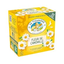 chamomile flower herbal tea 1