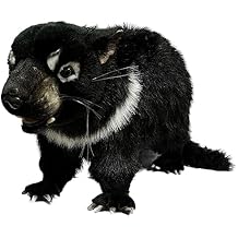 Hansa Adult Tasmanian Devil Plush