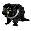 Hansa Adult Tasmanian Devil Plush