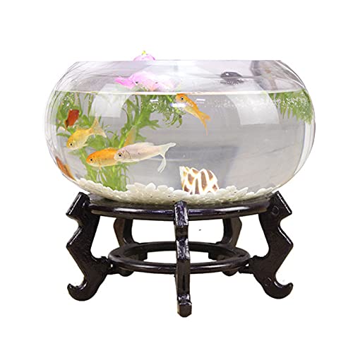 Ciotola di vetro per pesci Accessori per acquario, Cilindro rotondo Acquario rotondo for pesci rossi Acquario ecologico in vetro for pesci Acquario grande for tartarughe Acquario idroponico Acquario i