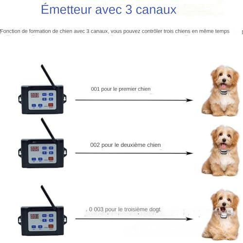 Design et qualité robuste de la clôture pour chien