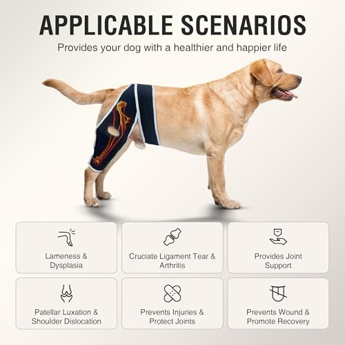 Dog Brace for ACL Tear Back Leg, Adjustable Dog Leg Brace for Front or Hind Leg, Dog Shoulder Brace, ACL Brace for Dogs Rear Leg to Provide Support, Promotes Recovery and Improve Joint Problems S - Thumbnail 2