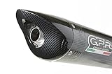 Anno applicazione 2007>2016 GPR Italia Scarico completo omologato e catalizzato GPR Cbr 600 Rr 2007/16 Tiburon Poppy CO.H.156.TIBPO