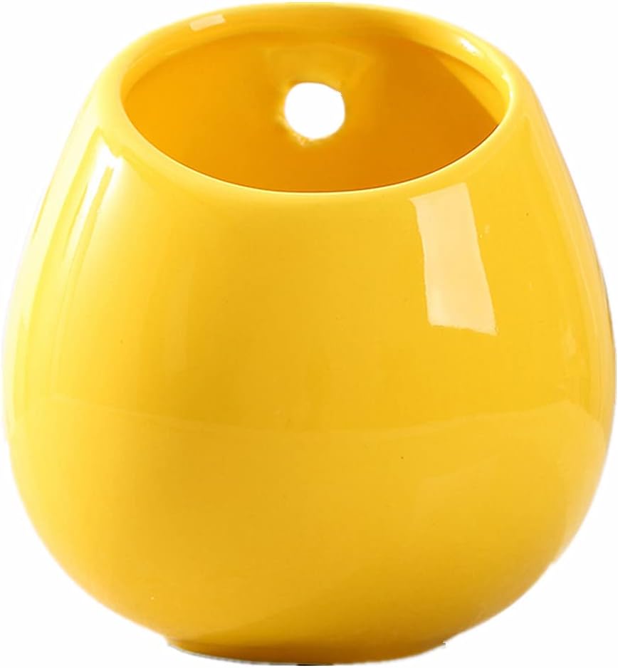 Moyishi Mini Decorative Ceramic Hanging Planter Flower Pot Water Planter Plant Vase (White)