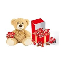 RED DelightTM 100 Piece Chocolate Gift Box 100 Piece Gift Box Combo w/Bars & Truffles +14" Plush Bear, Bar Variety + Truffle Variety