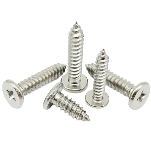 Vis autoforeuse M3 25mm en acier inoxydable 304 empreinte cruciforme lot de 50