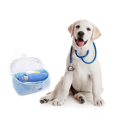 Wowmolly Medicine Box Design Plush Chew Dog Toys Including Syringe 3 Pills Tablet Pill Potion Bottle Squeaky Interactive Custom Stuff Pet Toy For Small, Medium Dogs #TOP5