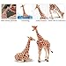 Toymany 4PCS Realistic Giraffe Figurines with Giraffe Cub, 2-6