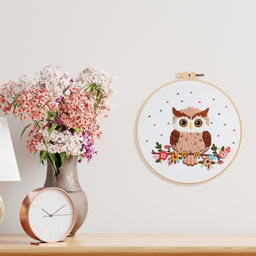 Image of Louise Maelys Owl Embroidery Kits for Beginners with Floral Pattern,Adults Starter Cross Stitch Kit DIY Needlepoint