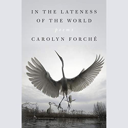 In the Lateness of the World by Carolyn Forché episode artwork