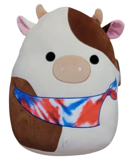 Ronnie the Tie-Dye Bear Squishmallow