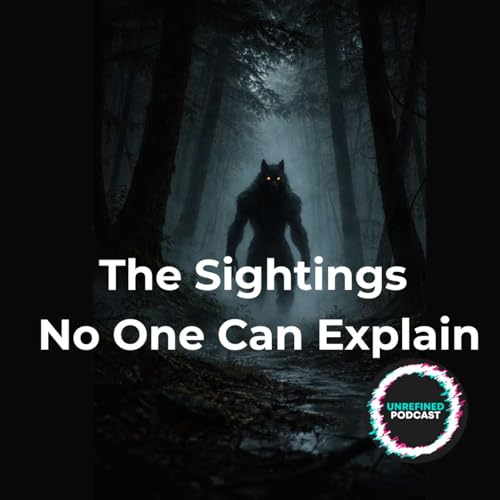 E202 The Sightings No One Can Explain