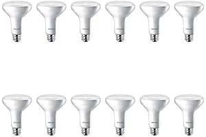 BR30 LED Light Bulb - Daylight 5000k - Pack of 12
