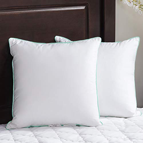 puredown® Lot de 2 Oreillers en Plumes d'oie avec Housse 100% Coton, Bordure Verte Exquise Oreiller, 40x40cm, Blanc Cover