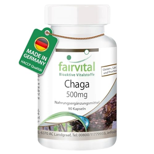 fairvital Chaga 500mg, 90 Kapseln, schluckfreundlich, 500mg Chaga Pilzpulver pro Kapsel, HOCHDOSIERT, Inonotus obliquus, VEGAN