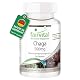 Chaga Fairvital 500mg – 90 Kapseln mit 500mg Pilzpulver pro Kapsel