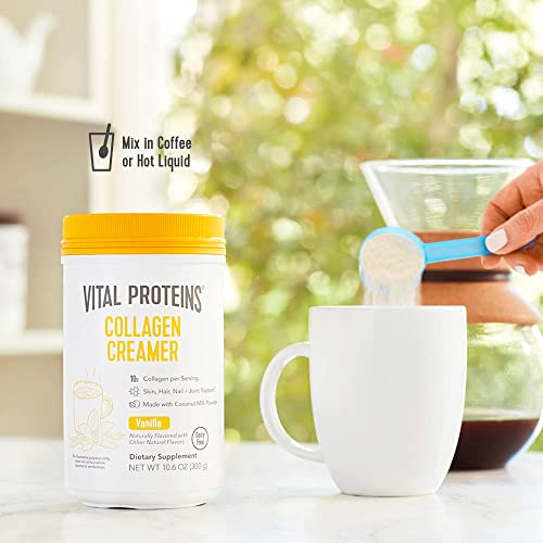 Vital Proteins Collagen Coffee Creamer, Non-Dairy & Low Sugar Powder With Collagen Peptides Supplement - Supporting Healthy Hair, Skin, Nails With Energy-Boosting Mcts - Vanilla 10.6Oz #TOP3