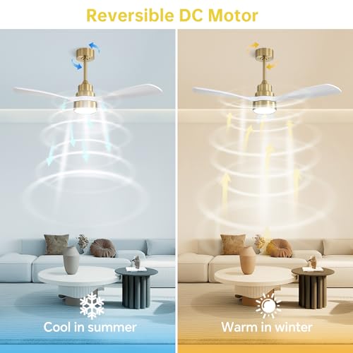 CACI Mall 48 inch Smart Ceiling Fans with Lights, Low Profile, Modern, Gold, 3 Blades, Solid Wood, Remote Control, Work with Alexa/Google, Outdoor Indoor Ceiling Fans for Patio Living Room Bedroom by CACI Mall - Image 5