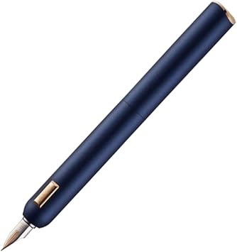 LIOONS Fountain Pens for Writing Metal Fountain Pen 14k Gold Tip Business Ink Pen Stunning Luxury Pens Gift Box for Men and Women