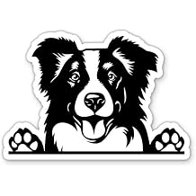 Border Collie Dog Peeking Sticker, 3 in | For Water Bottle, Phone, Car, Tumbler, Laptop, Waterproof Vinyl