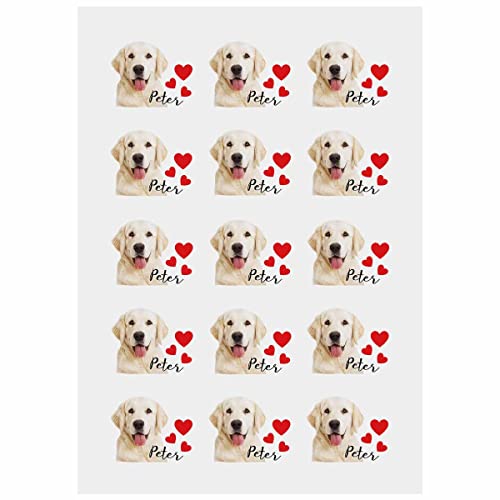 Personalized Temporary Tattoos For Party, Custom Face Name Funny Tattoos Birthday Gift For Adult Cat Pet Dog, Paper 1 Set Of 15 Pieces For Skin #TOP1
