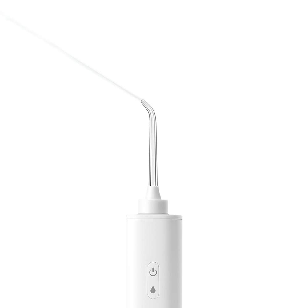 Mini Limpiador de Dientes eléctrico Recargable de irrigador bucal Dental inalámbrico con 4 boquillas, Nivel de 3 Engranajes, para la Oficina de Viajes domésticos