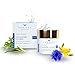 GUNILLA Ceramide Cream A17-24-Hour Moisturizer - Plump, Soften. 17 Actives & Herbals. Plant-Based. No Added Fragrance. Vegan. (2 oz)