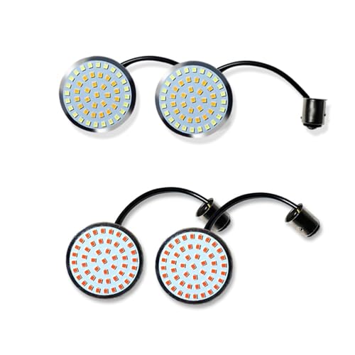 Ampoules clignotants LED 1157 moto à haute intensité pour Road King