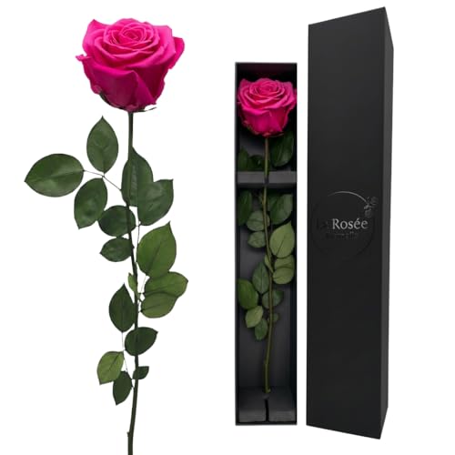 Duftende ewige Rose LA ROSEE ETERNELLE