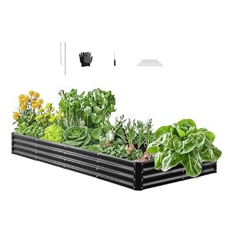 VEVOR carré potager métal 240 x 120 cm, fond ouvert