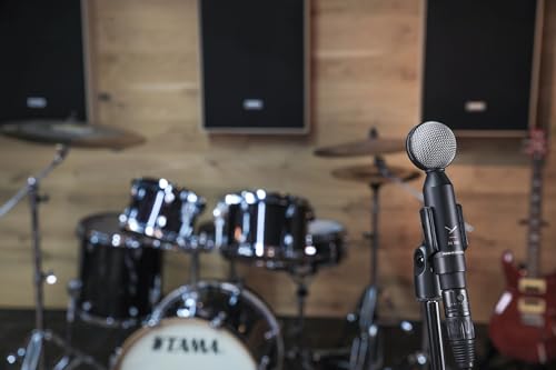 beyerdynamic M 130 - Dynamiczny mikrofon dwuwstęgowy (osiem)