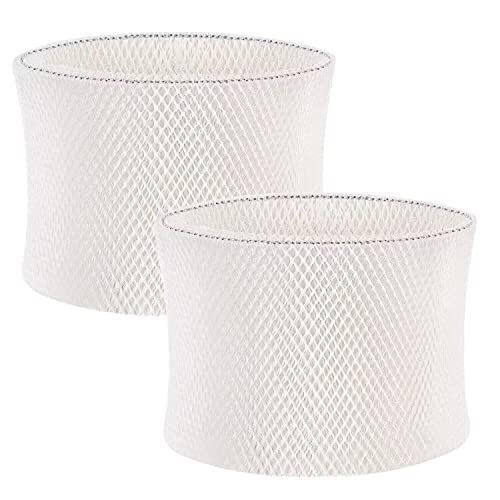 2-Pack Mainstays Replacement Filters
