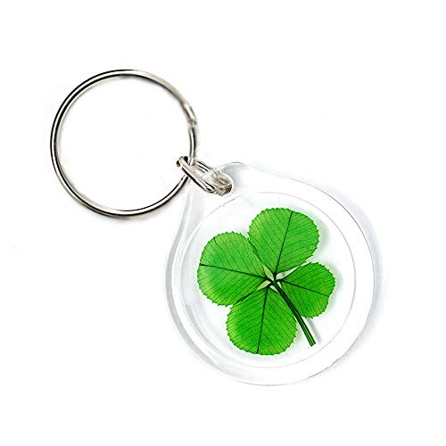 Clovers Online Good Luck Genuine 4 Leaf Clover Keychain