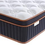 Thavion Matelas 180x200 cm, Épaisseur 30 cm, Mousse à Mémoire de...