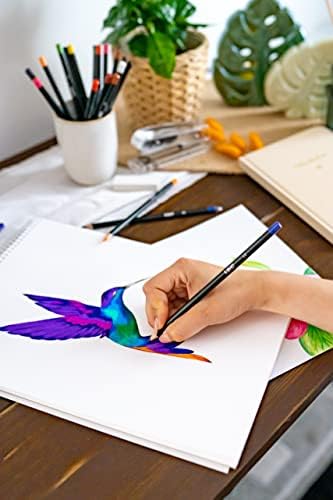Bic Intensity Premium Bundle - fineliners, premium pencils, premium colouring felt pens, and permanent markers, 500181