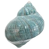 VALICLUD Natural del Mediterráneo para Decoración de Peceras Adorno de Marina Auténtica para Acuario Coleccionable para Decoración de Hogar y Mesa Temática Oceánica