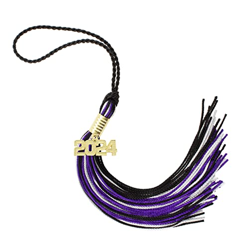 Tassel Depot 2024 Black/Purple/Gray Graduation Tassel - Every School Color Available - Made in USA