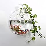 Maceta de pared – 5.9 pulgadas acrílico transparente redondo florero decoración, colgante de pared pecera acuario maceta decorativa colgante hidropónico maceta espejo 15 cm