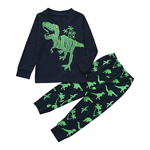 Baby Girls Boys Kid Tops Pants Suit Dinosaur Cartoon Tops and Pants Pajamas Sleepwear Sets Soft Clothes Baby Girls' Clothing (Green, 3 Years)