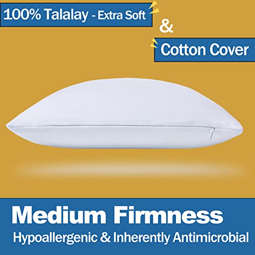 100% Talalay Latex Pillow, Extra Soft Latex Pillow For Sleeping (Queen Size), Bed Pillow For Back, Side And Stomach Sleepers, Helps Relieve Shoulder And Neck Pain [Breathability][High Elasticity] #TOP1