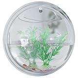 Wall Fish Tank - 9 Inch Clear Acrylic Hydroponic Wall Aquarium, Creative Mini Fish Tank for Small Betta Succulents Mini Mounted