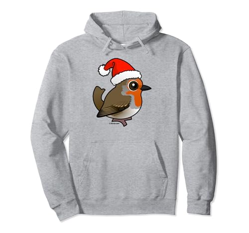 Cute Cartoon European Robin Santa Claus Christmas Bird Pullover Hoodie