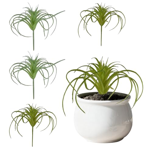 VIOCIWUO Artificial Succulents Plants 4PCS Faux Succulents Unpotted Small Tillandsia Fake Succulent for Craft Lifelike Air Plants Floral Decor for Greenhouse Party Garden & Outdoor