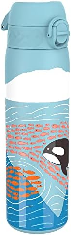 Ion8 Leak Proof Slim Water Bottle, Stainless Steel, Big Whale, 600ml (20oz)
