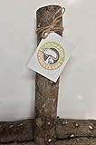 18" Mushroom Log DIY Shiitake Mushrooms Ready to Grow Your Own